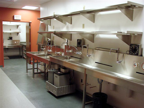 High Res image of Stainless Steel Tray Processing Sink